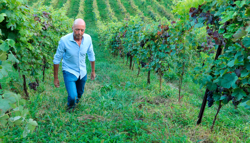 Fabio Perera Vigneti
